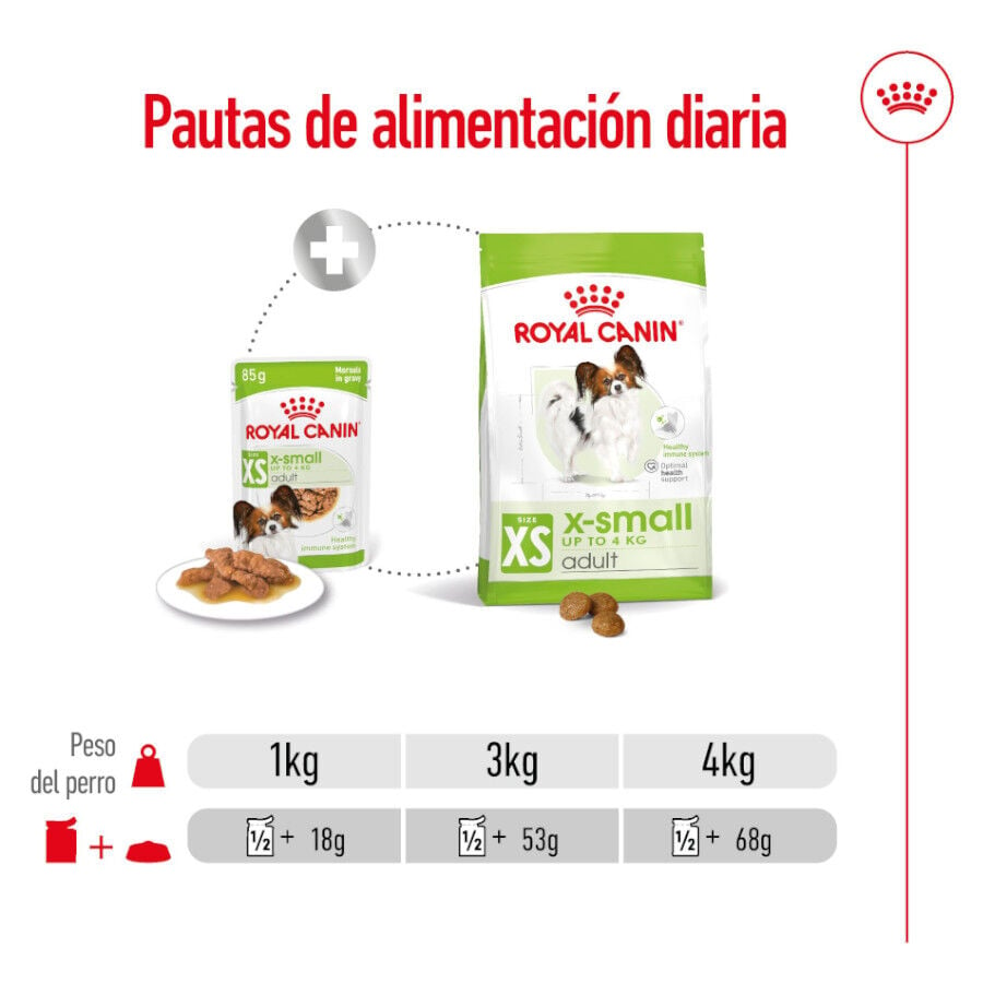 Royal Canin X-Small Adult saquetas com molho para cães, , large image number null